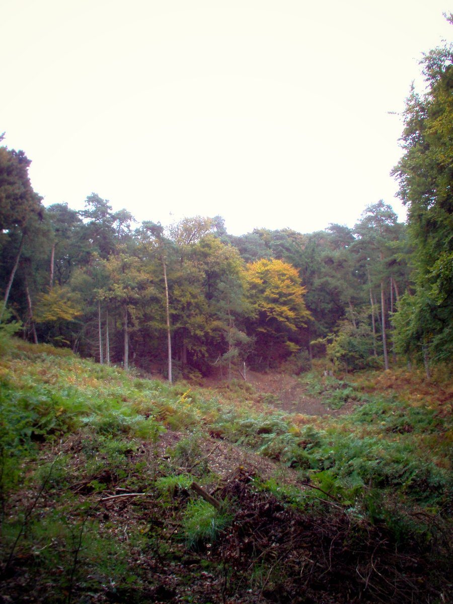 Dörenther Klippen – Germany