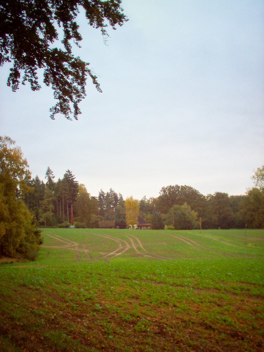 Dörenther Klippen – Germany