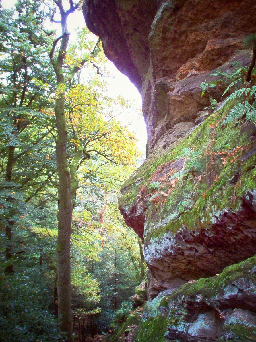 Dörenther Klippen – Germany