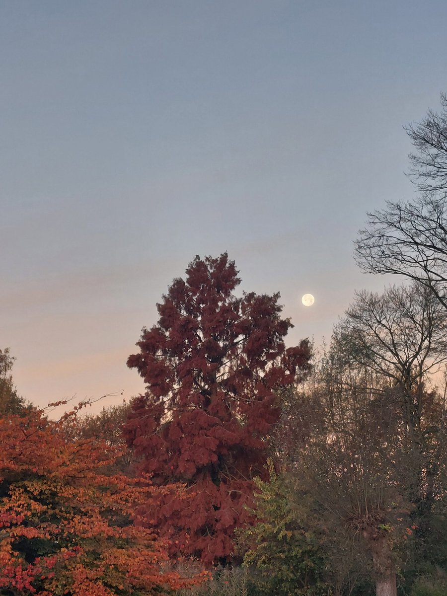 Autumn, early morning