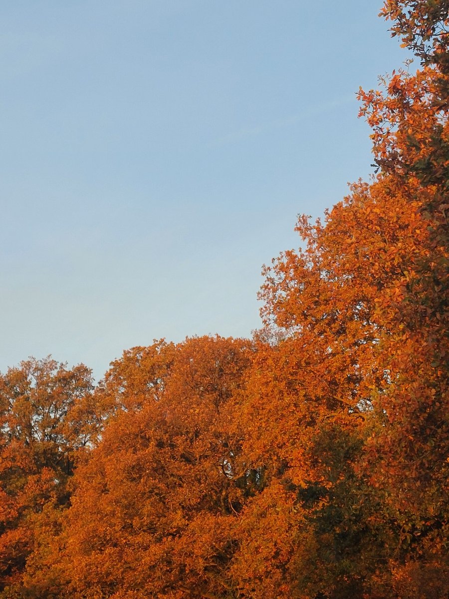 Autumn, early morning