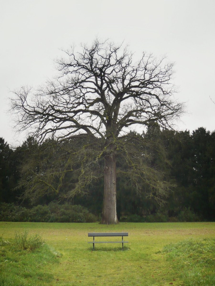 Paleis het Loo – Apeldoorn, the Netherlands