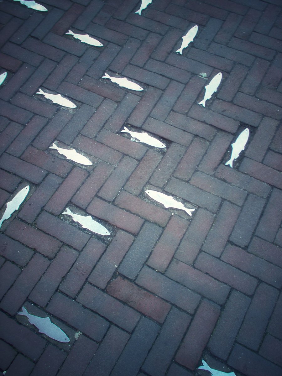 Harderwijk, the Netherlands – part 2