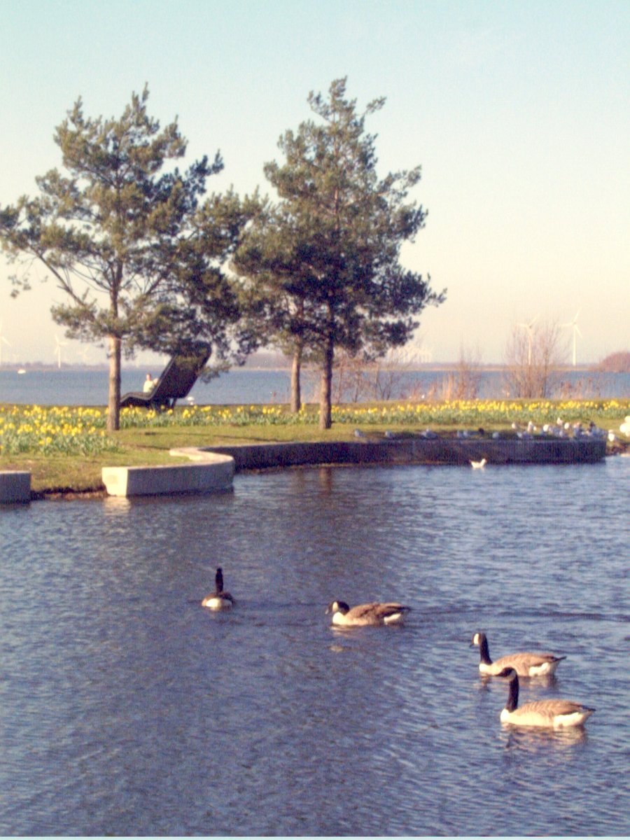 Harderwijk, the Netherlands – part 1