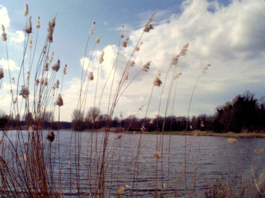 Wateroverstroomgebied Woolde – Hengelo, the Netherlands