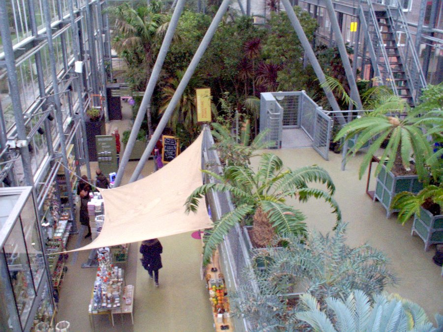 Hortus Botanicus part 1 – Leiden, the Netherlands