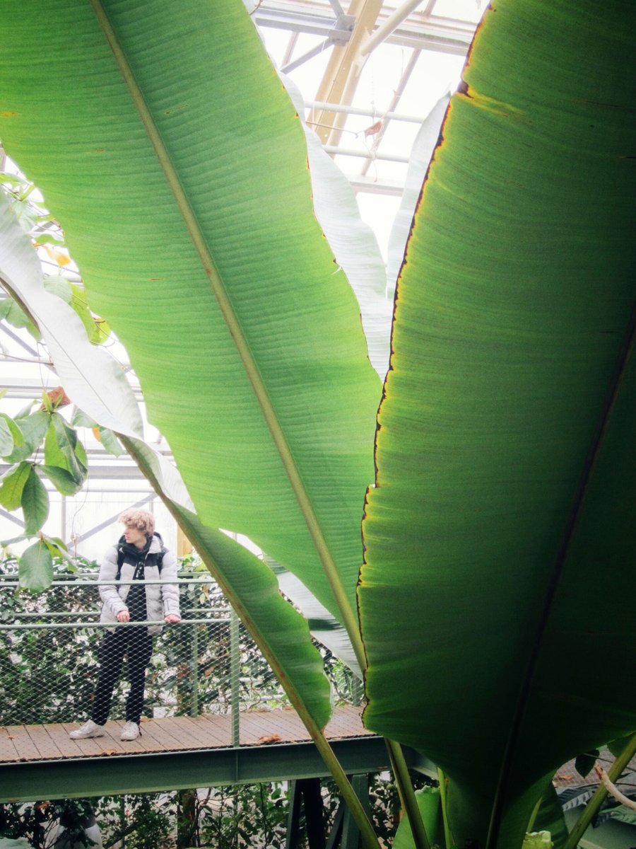 Hortus Botanicus part 2 – Leiden, the Netherlands