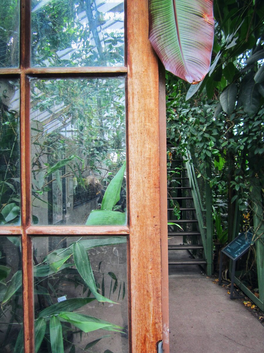 Hortus Botanicus part 2 – Leiden, the Netherlands
