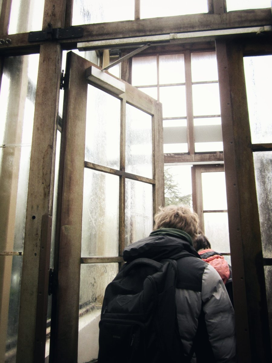Hortus Botanicus part 2 – Leiden, the Netherlands