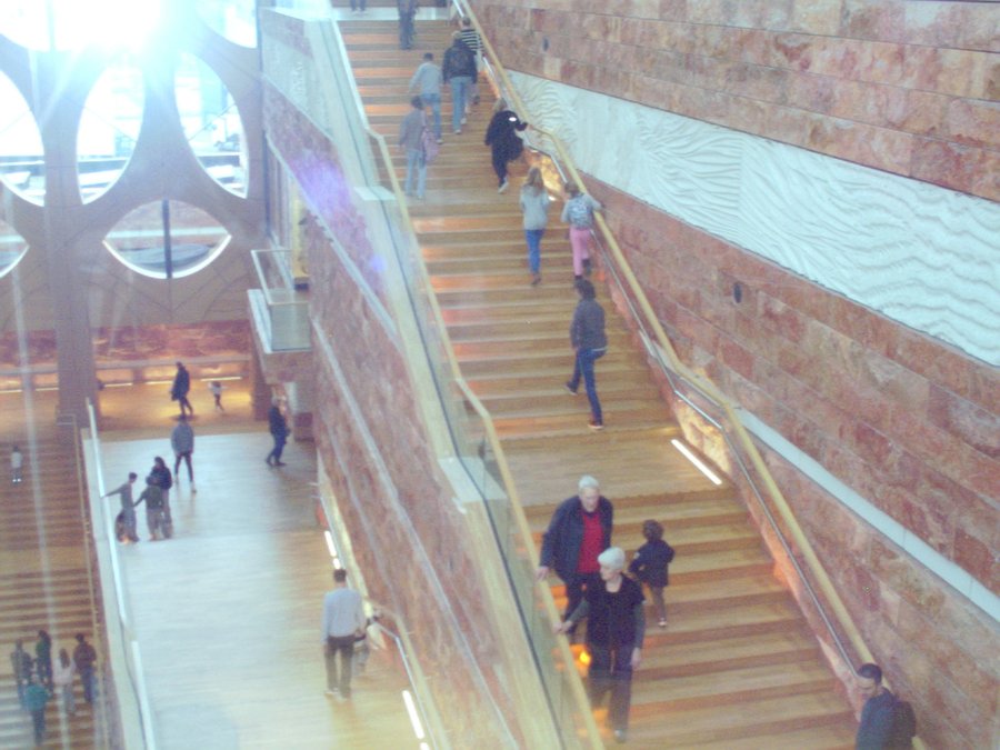Naturalis part 1 – Leiden, the Netherlands