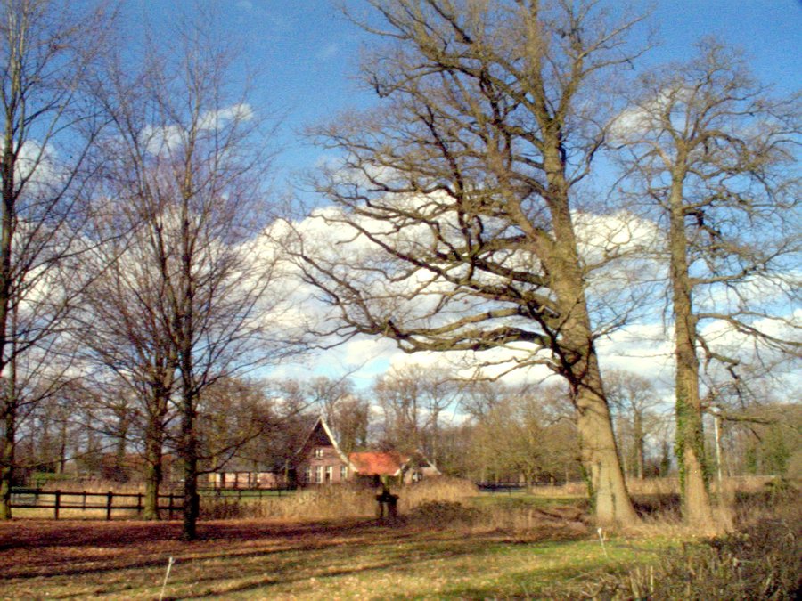 Middeleeuws Weleveld revisited – Hertme surroundings, the Netherlands