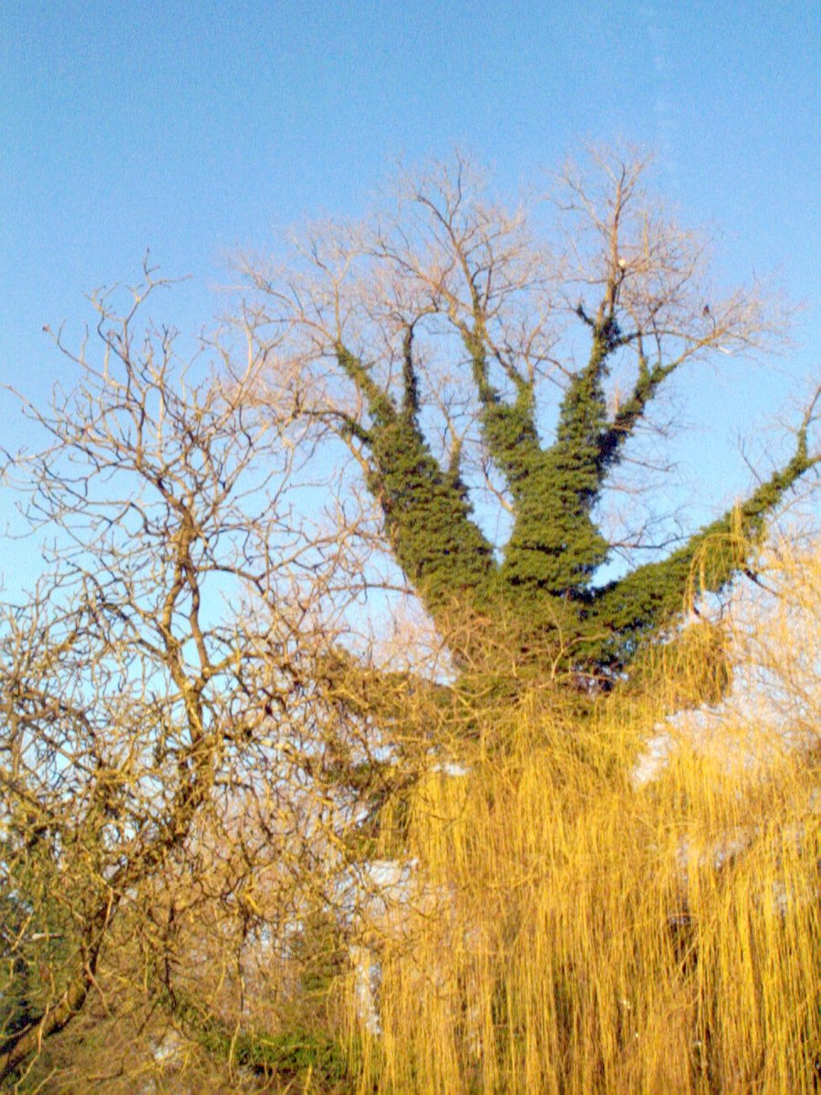 Castorweg – Hengelo, the Netherlands
