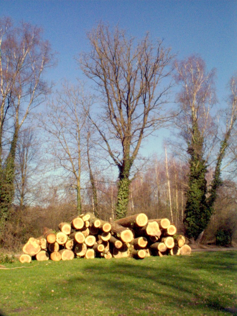 Houtmaatweg – Hengelo, the Netherlands
