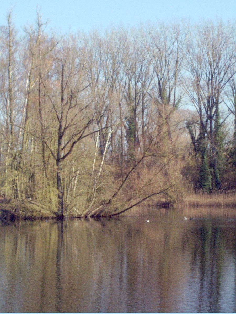 Kleigaten van Rientjes – Hengelo, the Netherlands