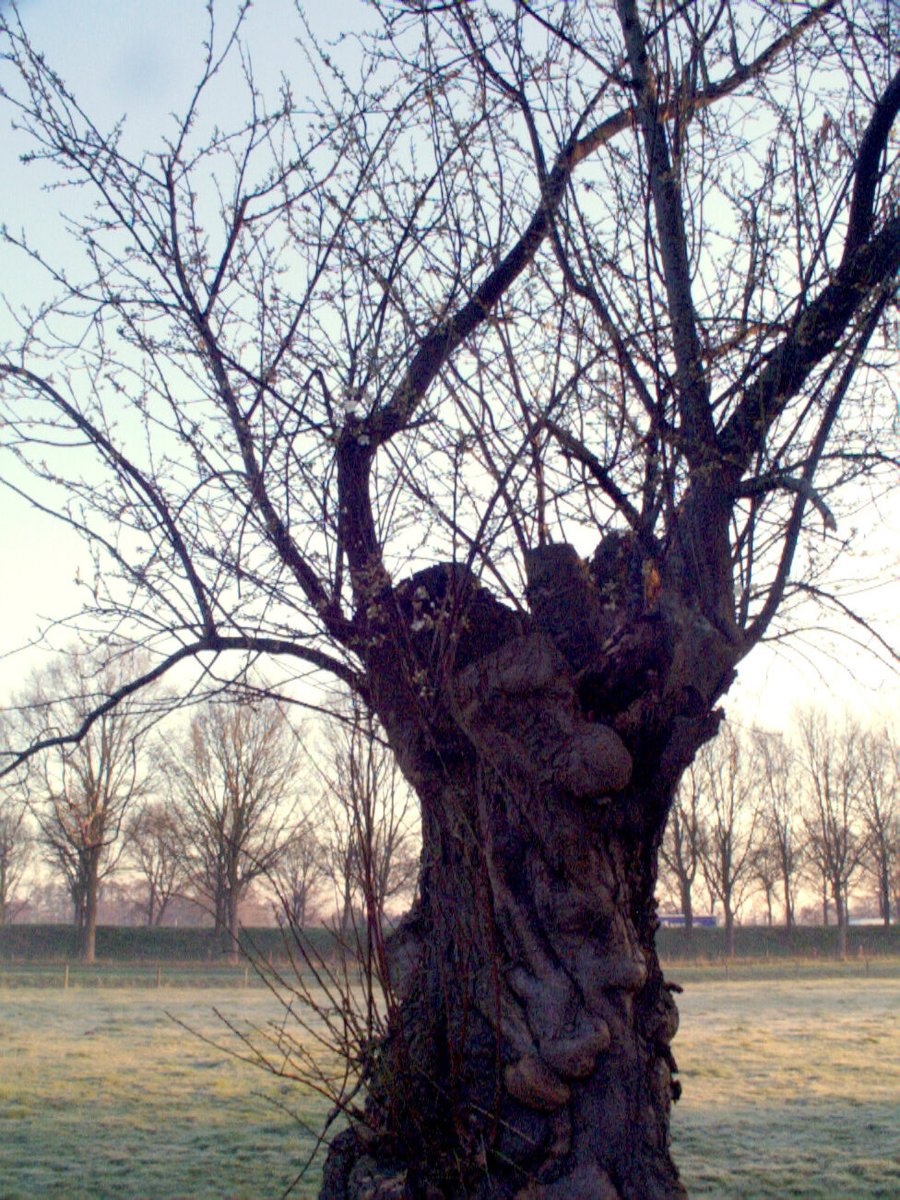 Houtmaat – Hengelo, the Netherlands