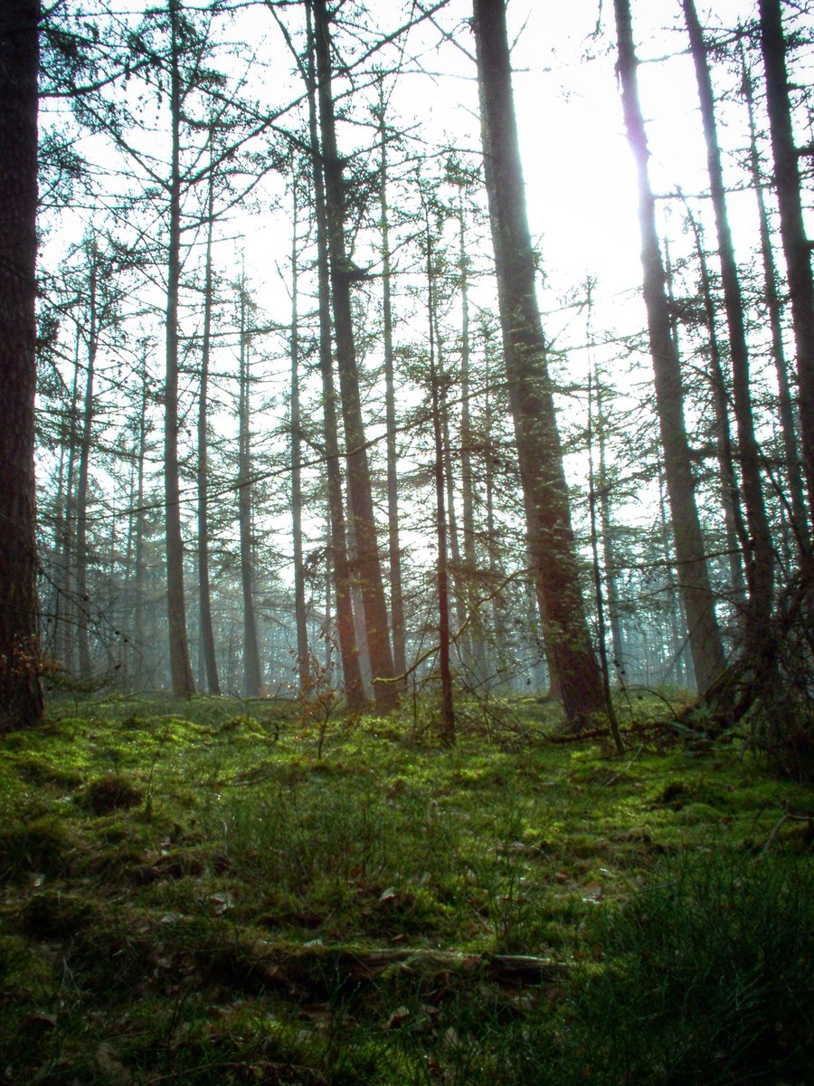 Walk from Rhenen to Velp, part 2