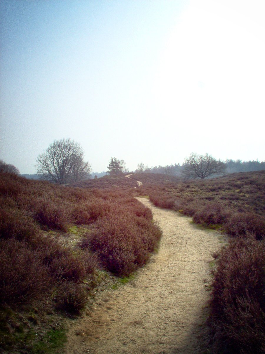 Walk from Rhenen to Velp, part 2