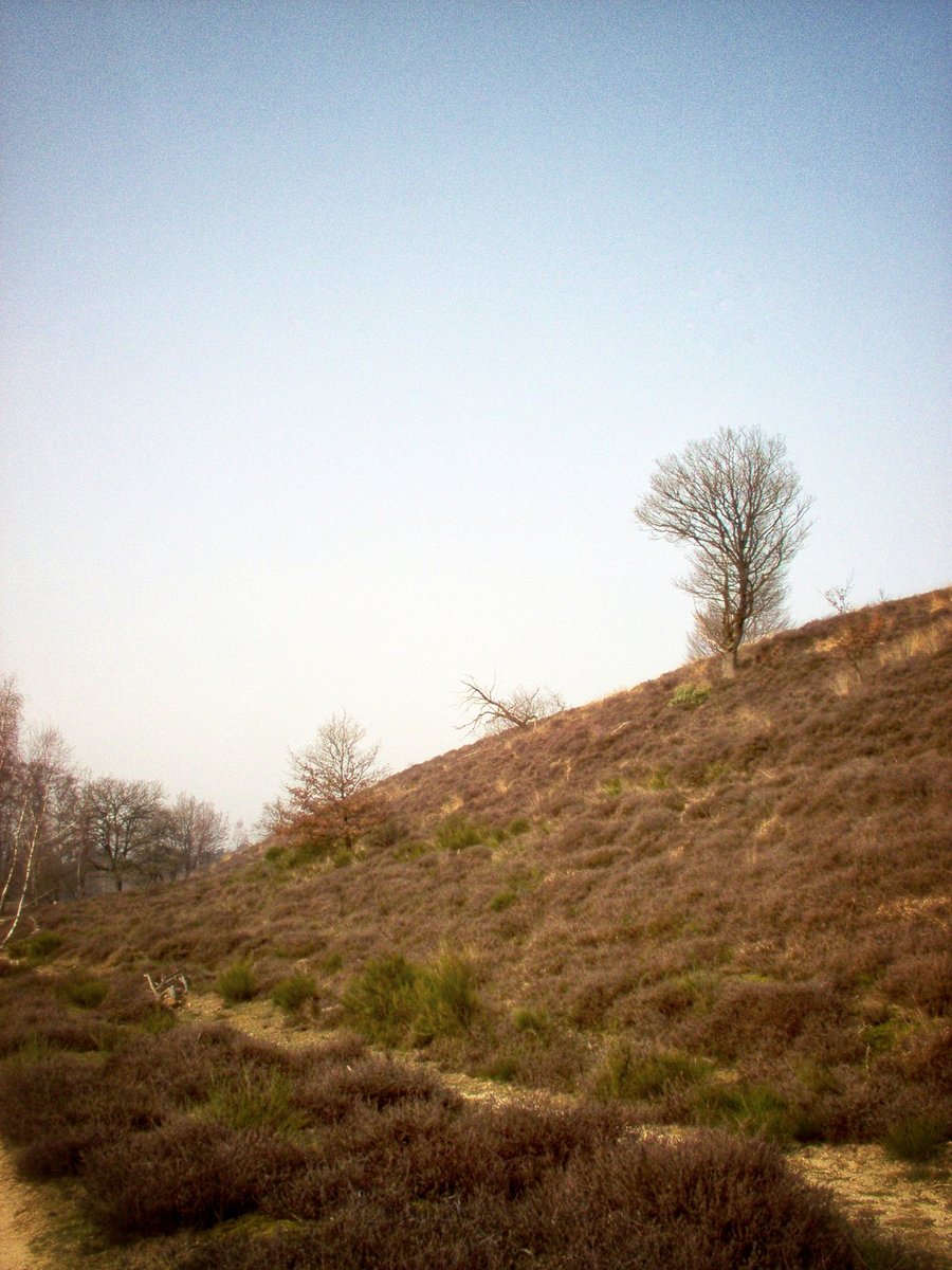 Walk from Rhenen to Velp, part 2