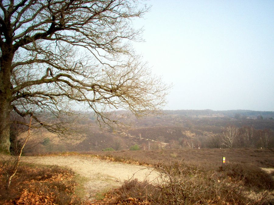 Walk from Rhenen to Velp, part 2