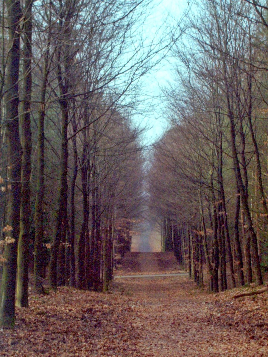 Walk from Rhenen to Velp part 1