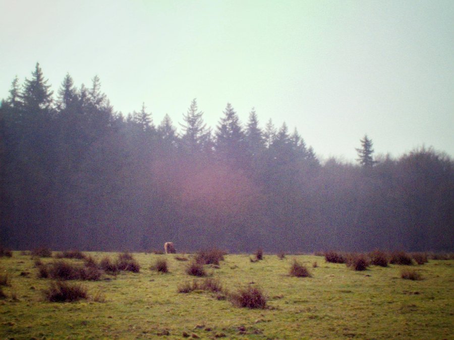Walk from Rhenen to Velp part 1