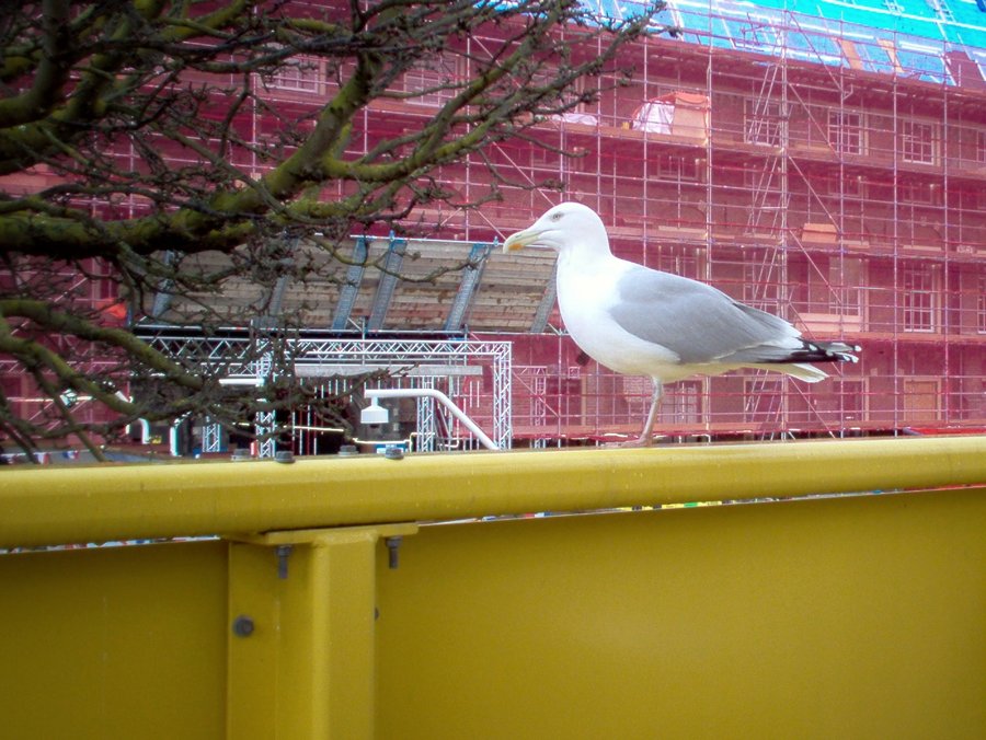 Den Haag – the Netherlands