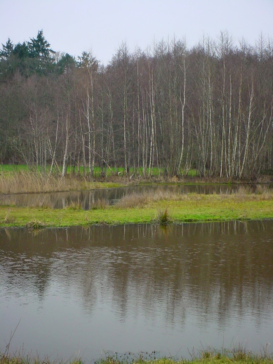 De Doorbraak – Almelo, the Netherlands