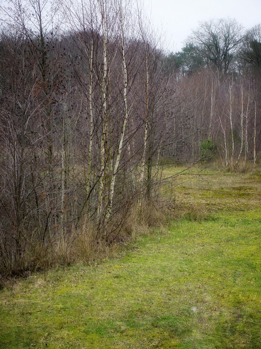 De Doorbraak – Almelo, the Netherlands