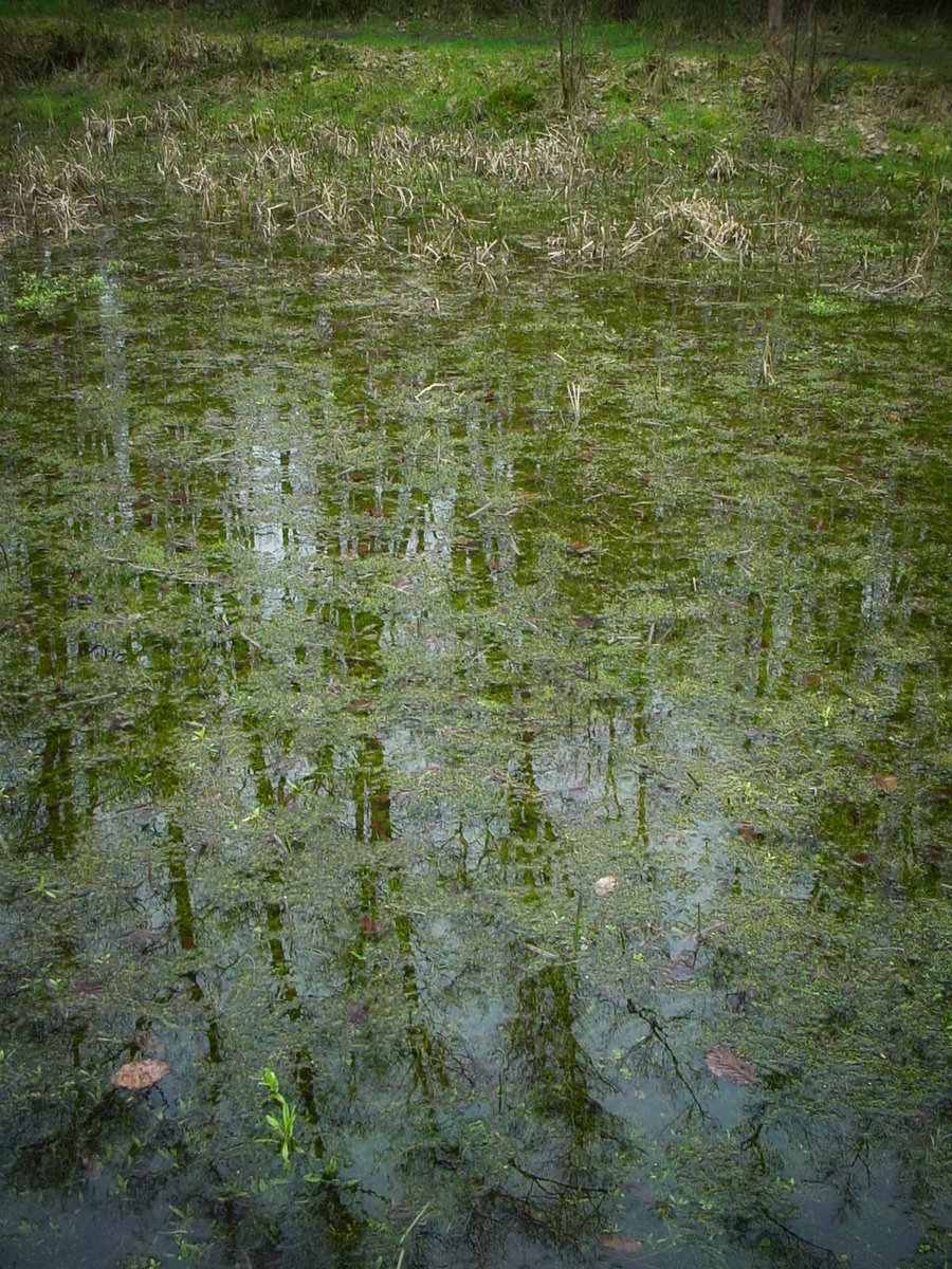 De Doorbraak – Almelo, the Netherlands