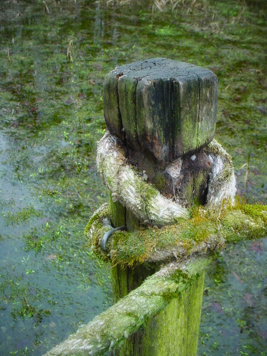 De Doorbraak – Almelo, the Netherlands