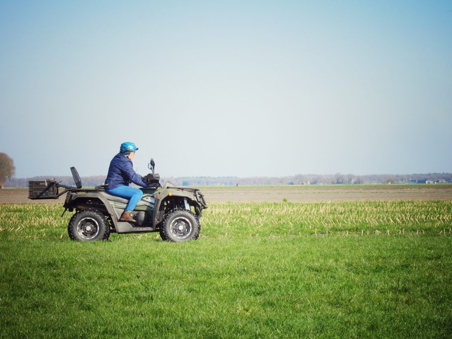 Paragliding – Stegerveld, the Netherlands