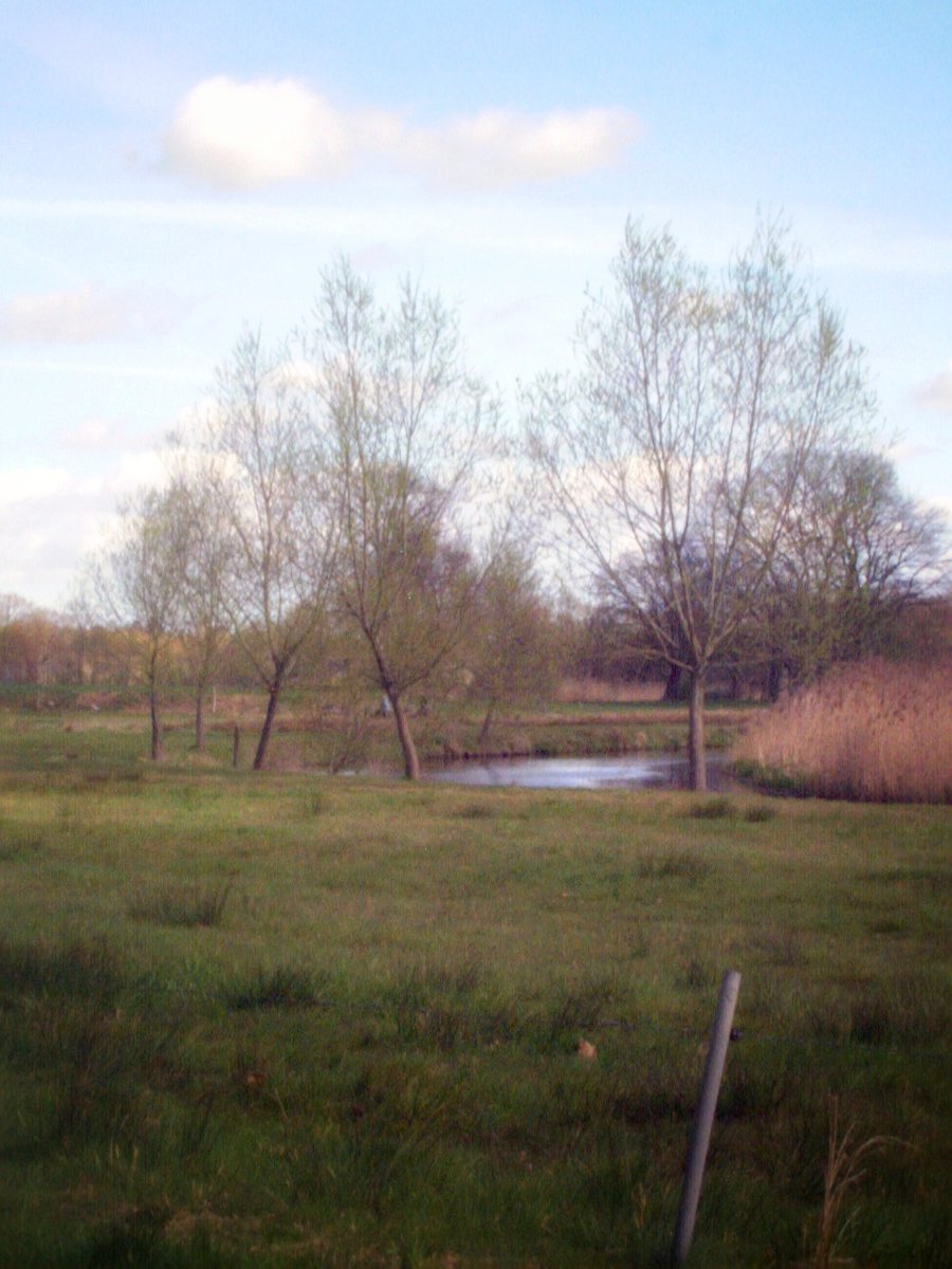 Zuna surroundings, the Netherlands