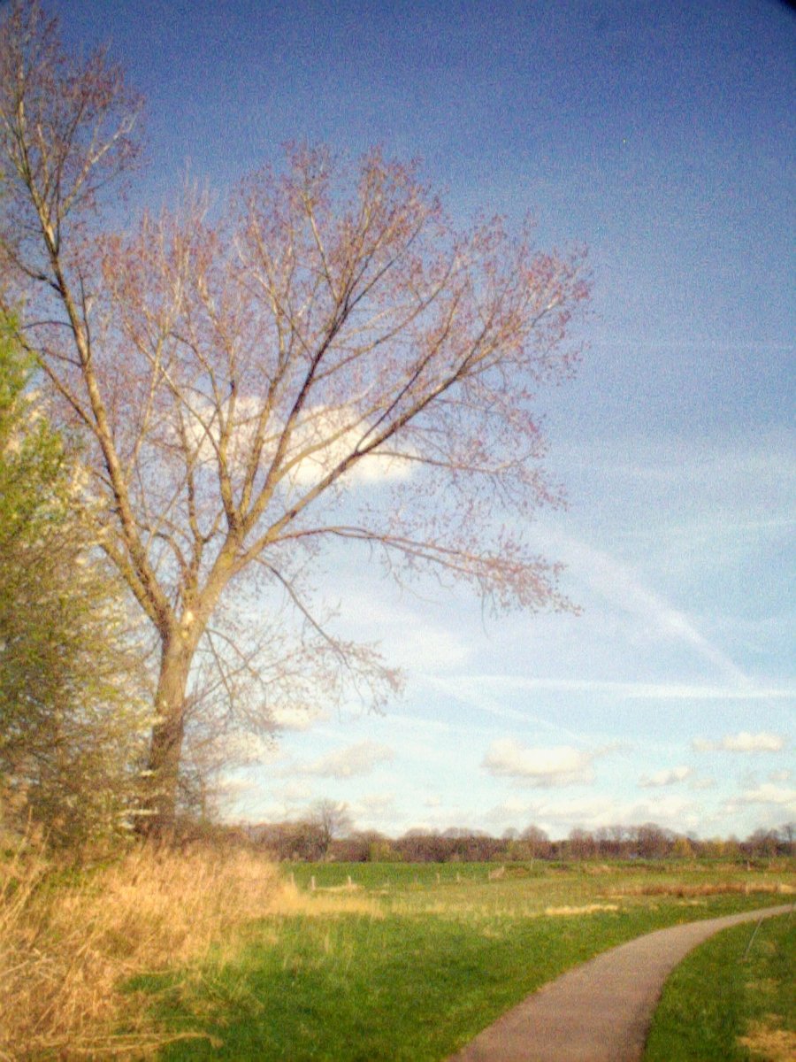 Zuna surroundings, the Netherlands