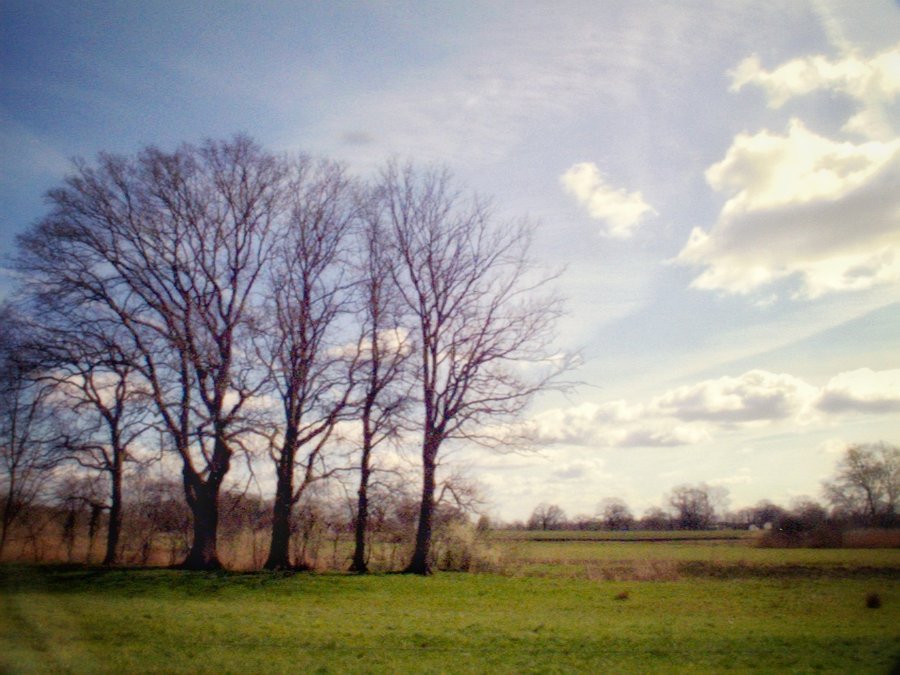 Zuna surroundings, the Netherlands