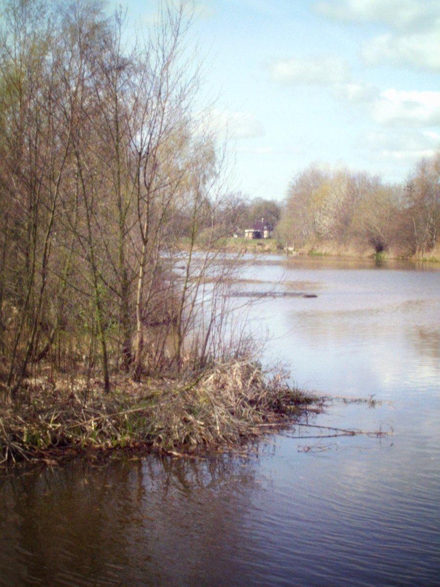 Zuna surroundings, the Netherlands