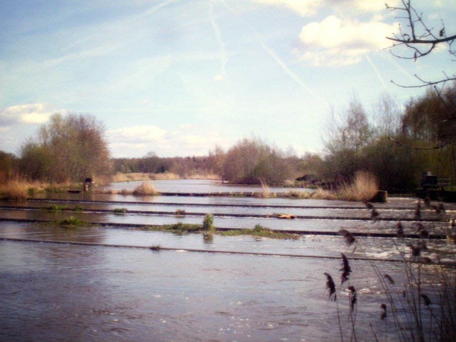 Zuna surroundings, the Netherlands