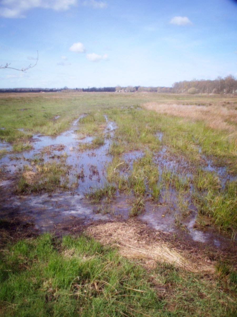 Zuna surroundings, the Netherlands