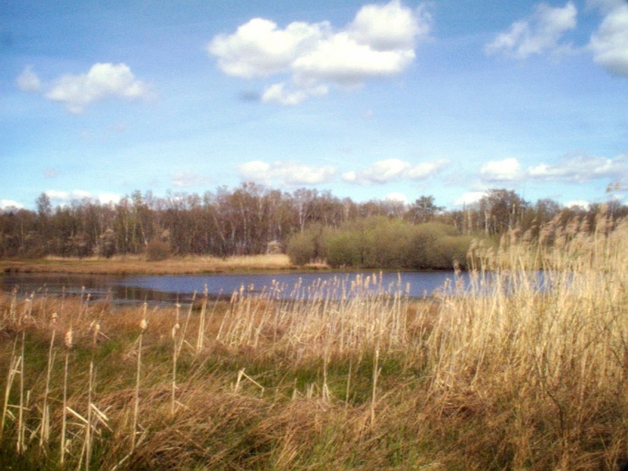 Zuna surroundings, the Netherlands