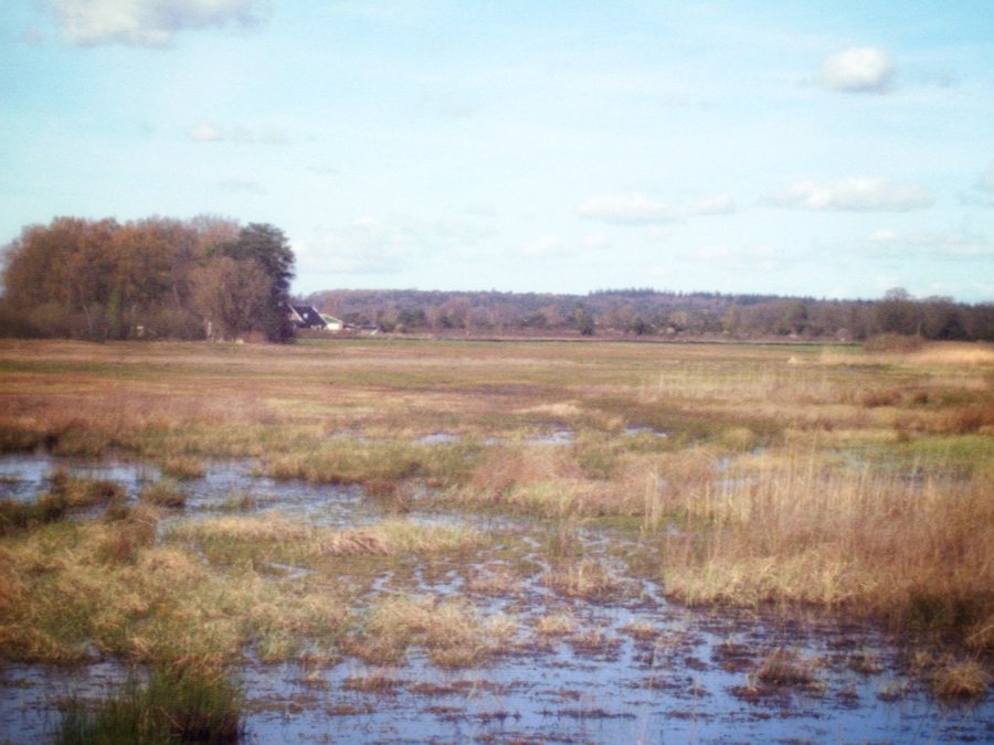 Zuna surroundings, the Netherlands
