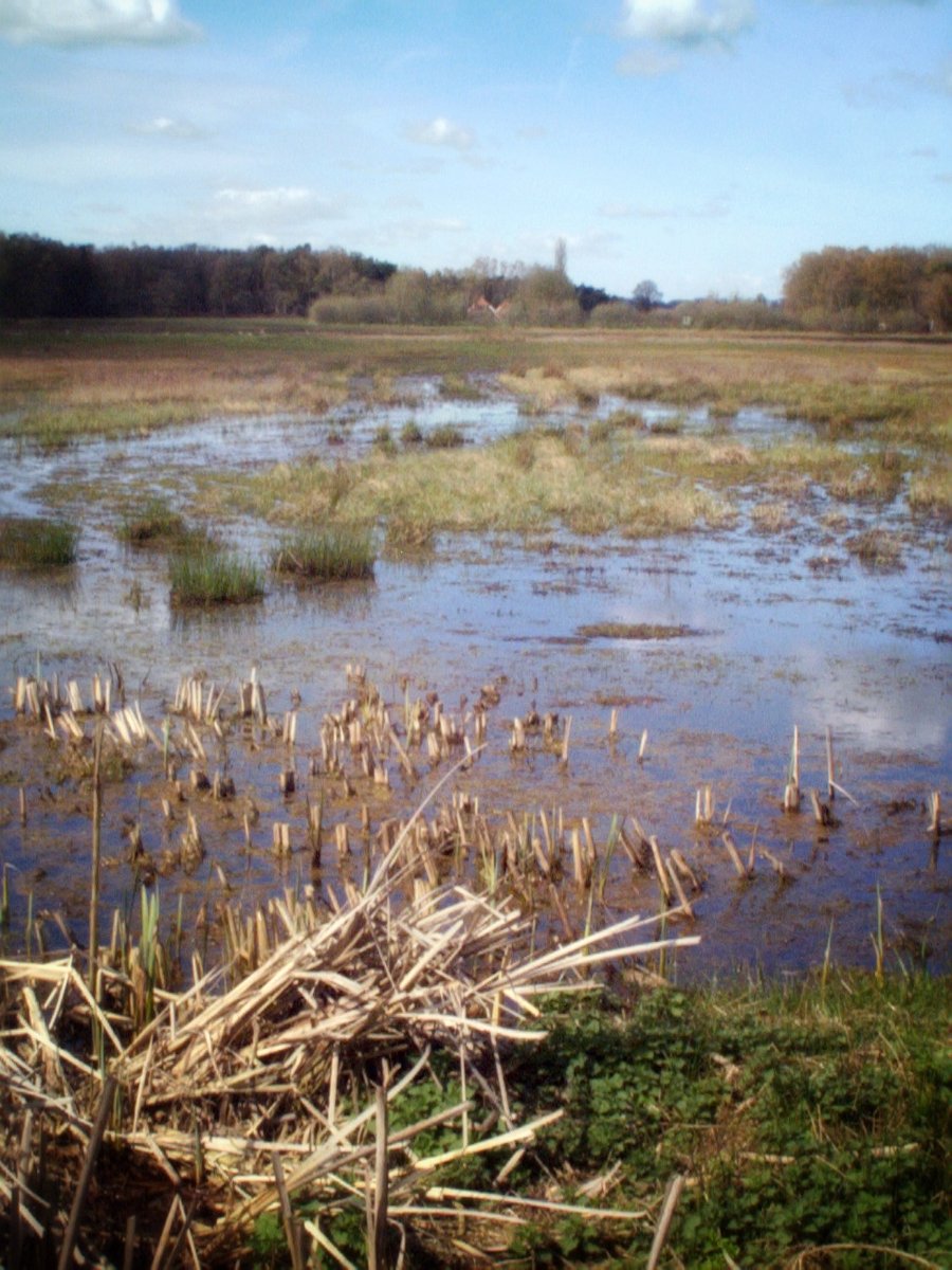 Zuna surroundings, the Netherlands