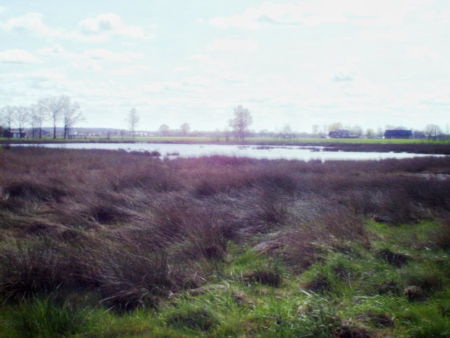 Zuna surroundings, the Netherlands
