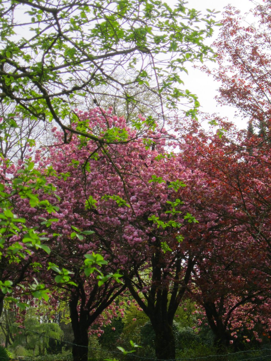 Last weeks colors – Hengelo, the Netherlands