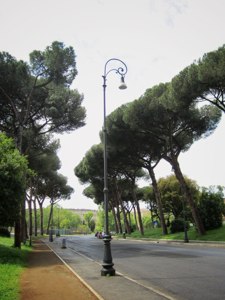 Around town – Rome, Italy