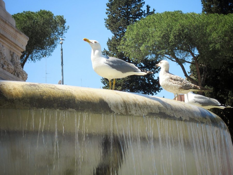 Around Town part 3 – Rome, Italy