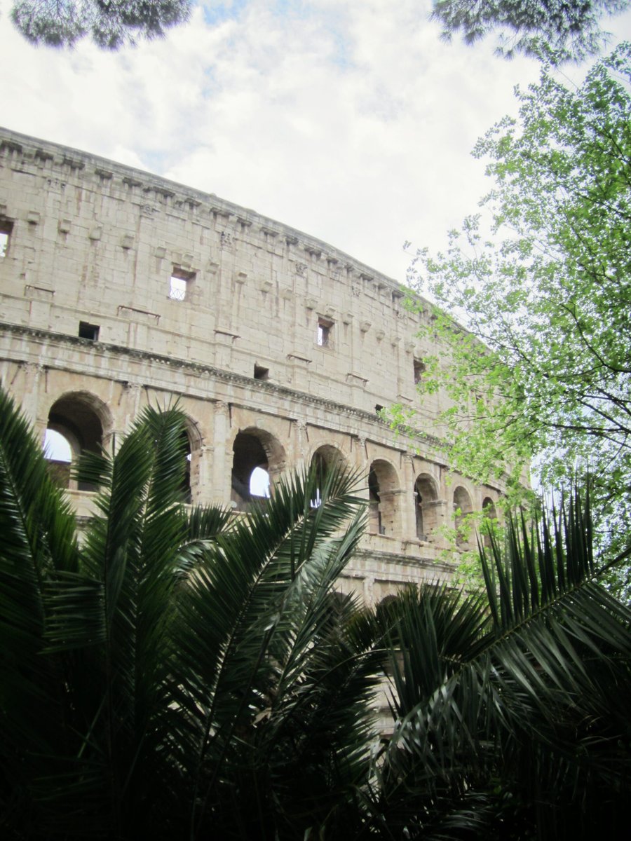 Colloseum – Rome, Italy