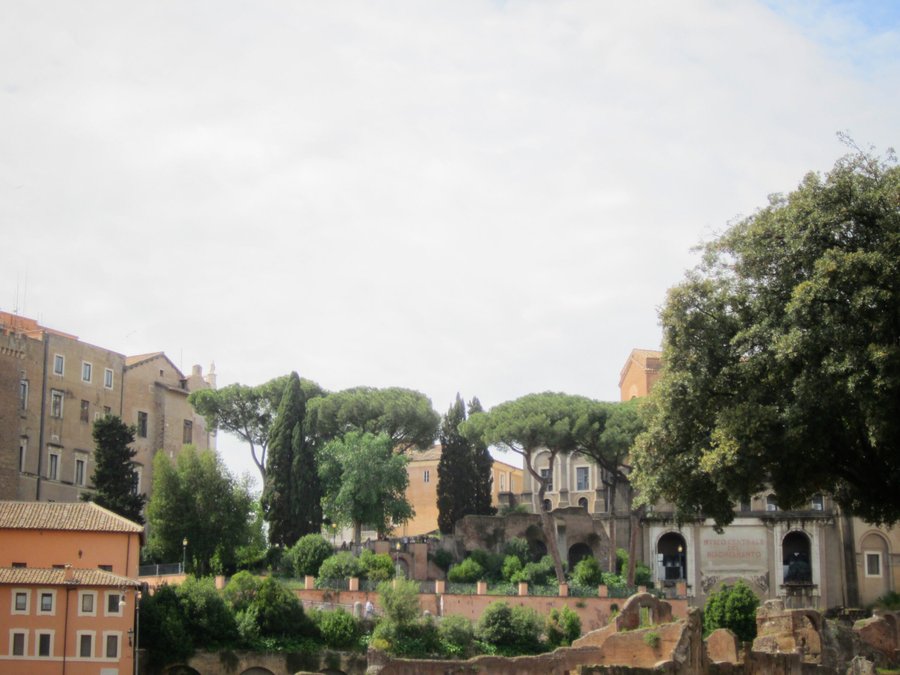 Around town part 7 – Rome, Italy