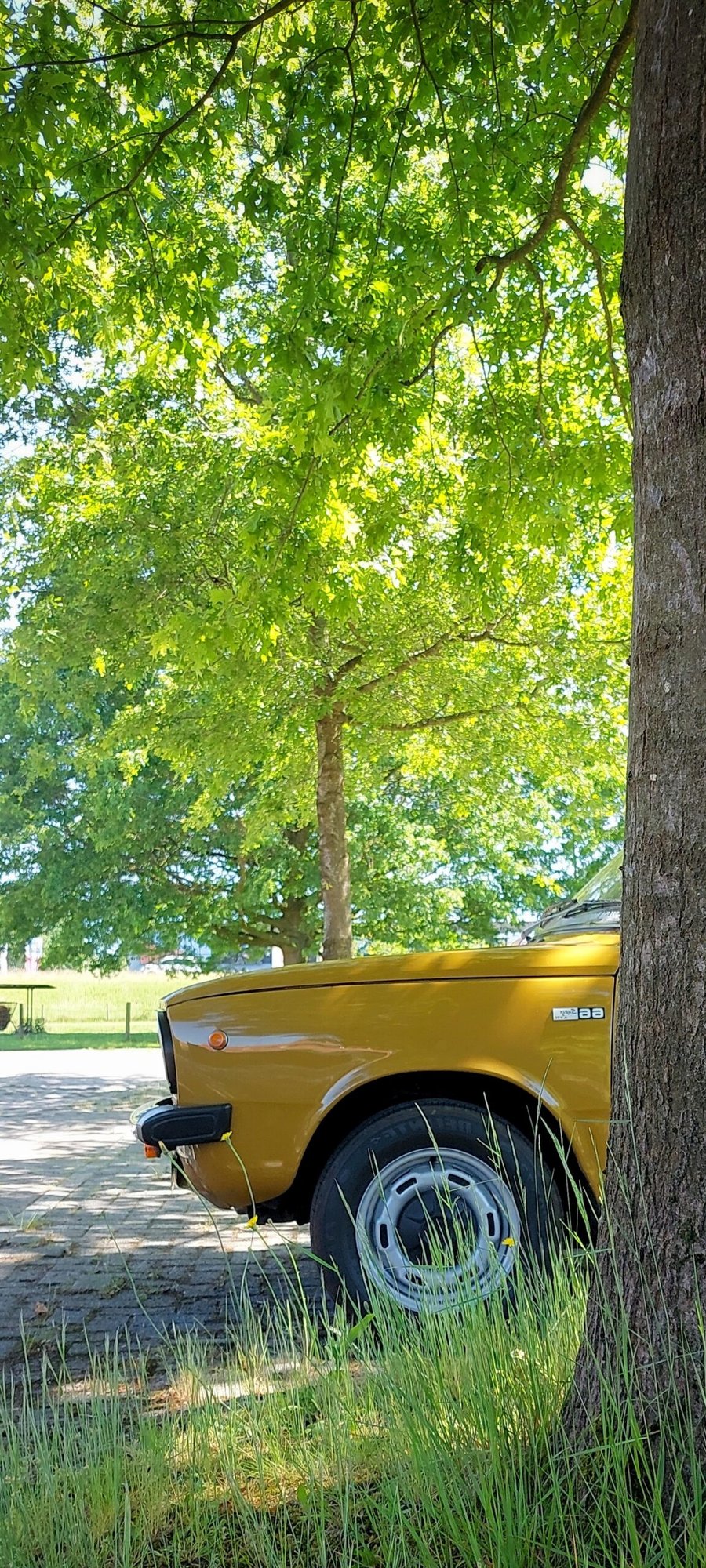 DAF