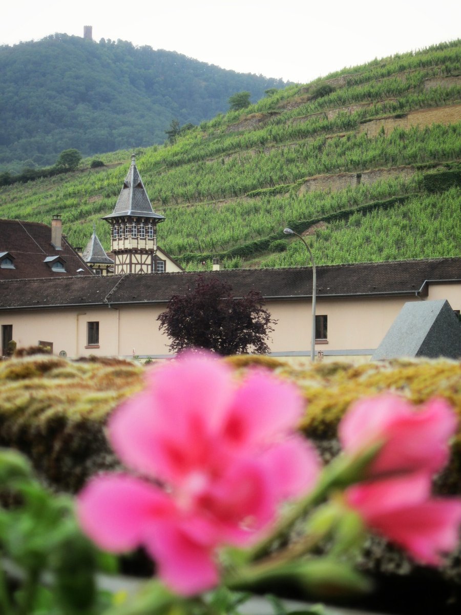 Ribeauvillé & Hunawihr – France