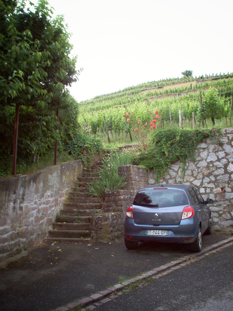 Ribeauvillé – France