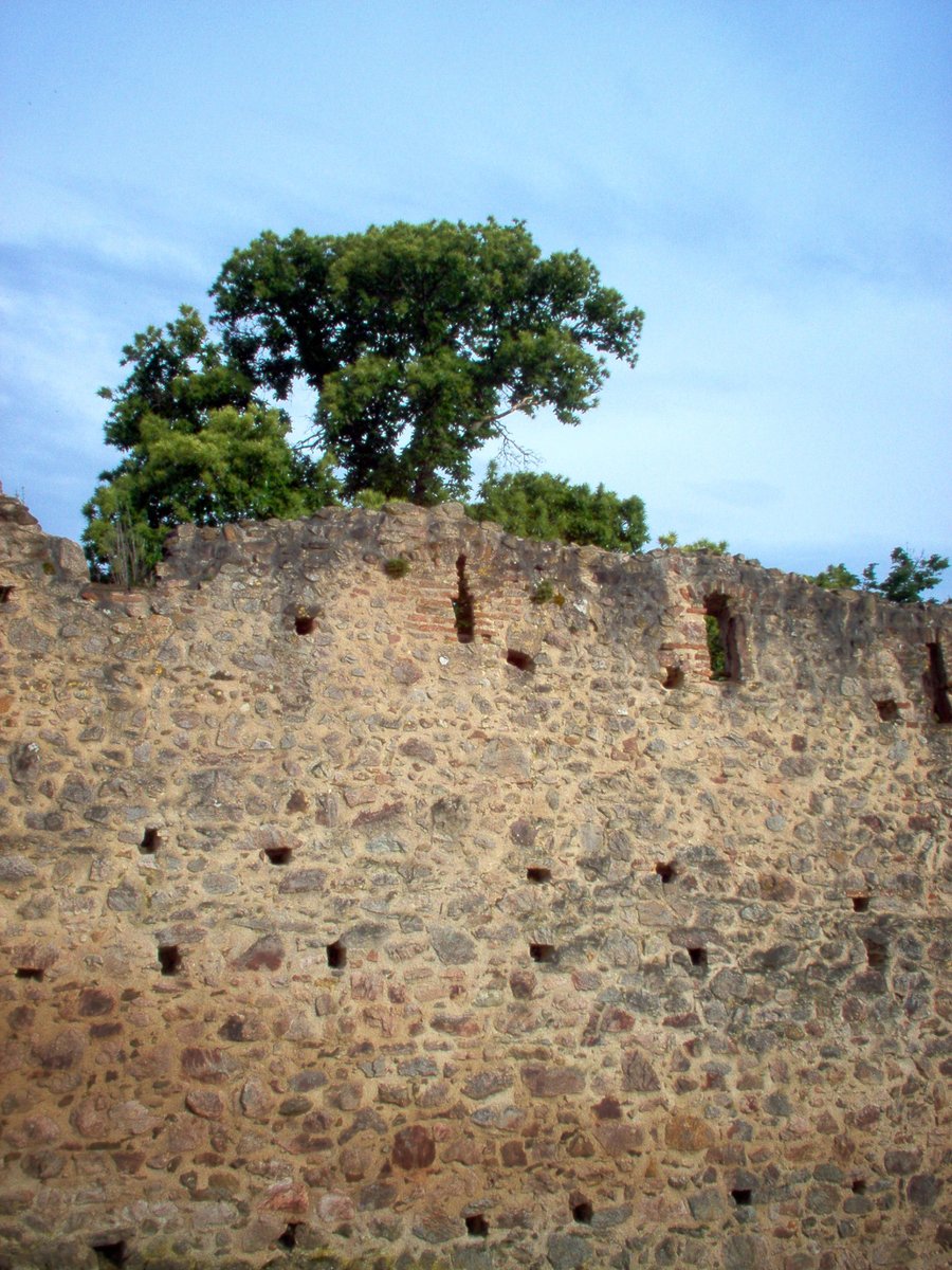 Ribeauvillé – France
